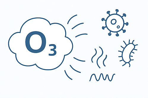 ⑷酸化力のメカニズム（菌・ニオイ分解）