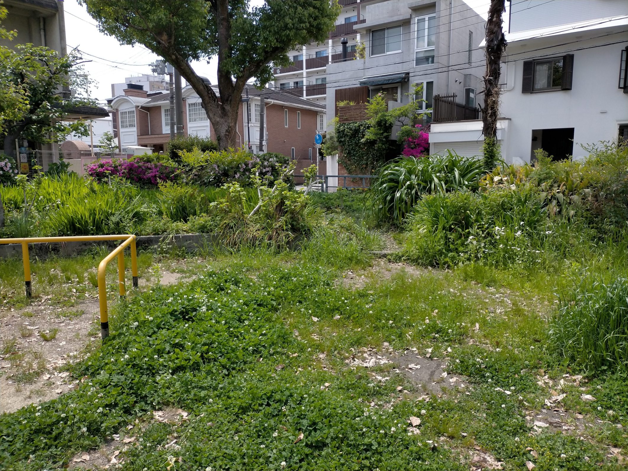 250429kyoubashikouen